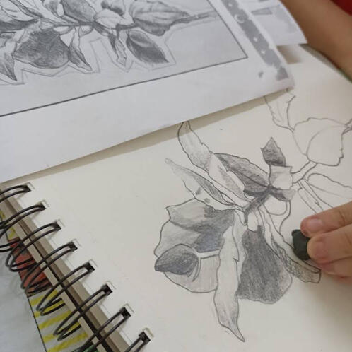 Claro Oscuro de figuras orgánicas con base en Fotografías